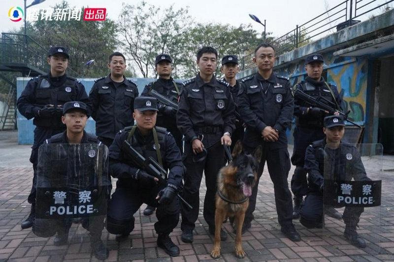 警犬微记载片《了不起的它》今日上线 用记载致敬无言卫士