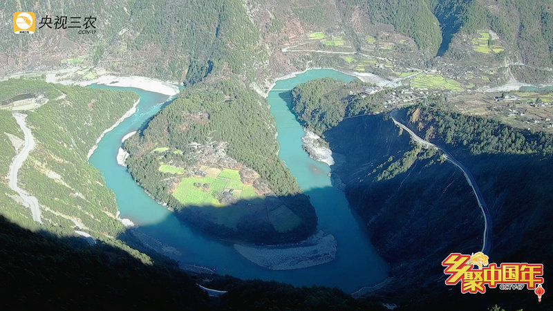 “乡聚中国年”用年画点亮灯火里的中国