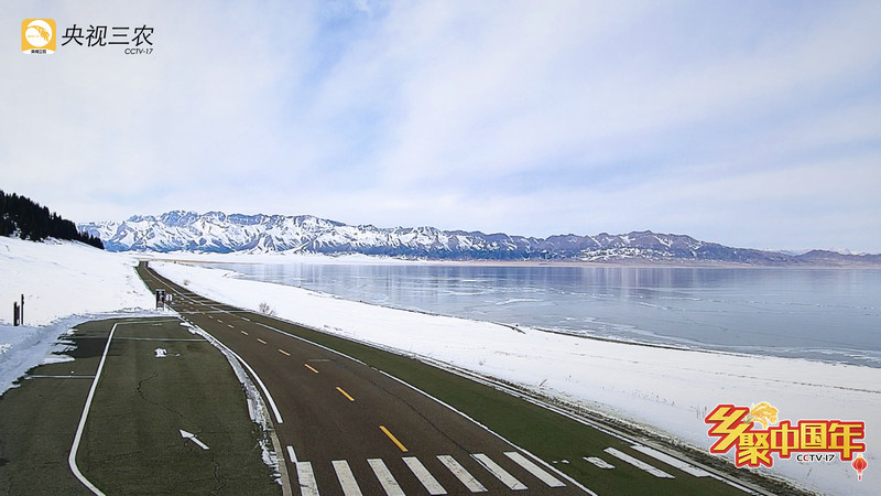 “乡聚中国年”用年画点亮灯火里的中国