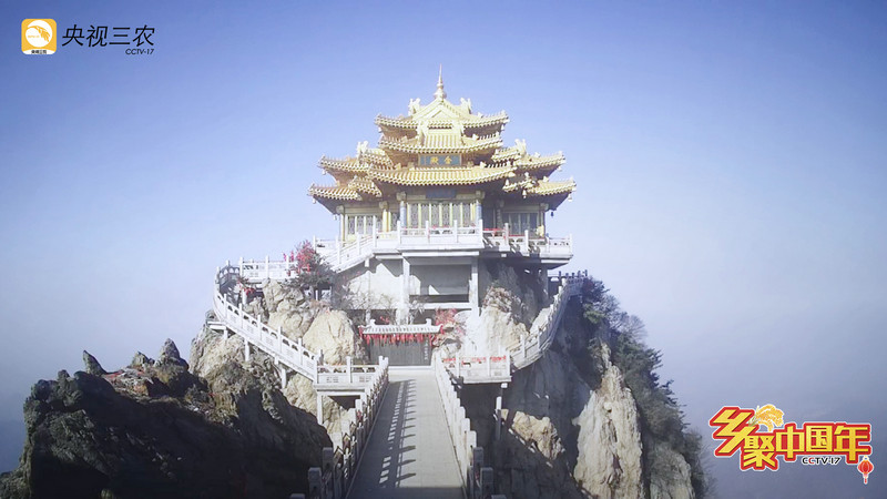 “乡聚中国年”用年画点亮灯火里的中国