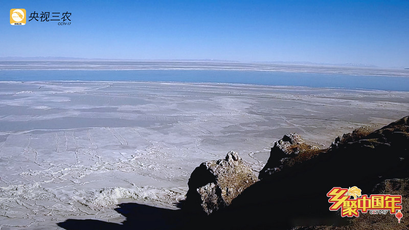 “乡聚中国年”用年画点亮灯火里的中国