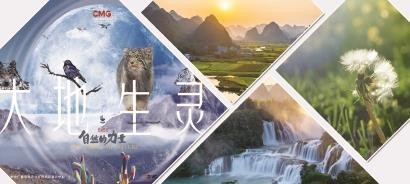 在遍野的生命奇迹里，感受中国生态变迁