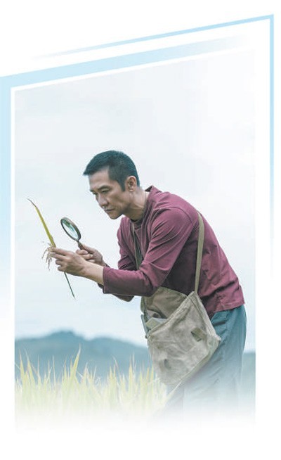 现实题材佳构力作闪耀荧屏