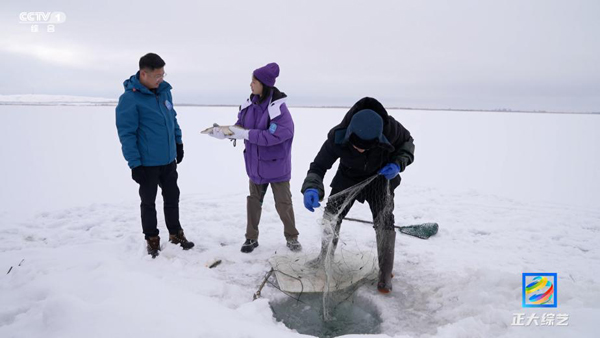 总台常青节目又双叒叕上新！跟着《正大综艺》“深度打卡”祖国绿水青山