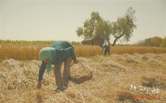 青年人应该如何拍电影?