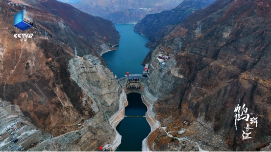 国庆看新片！记载片《鹤舞长江》即将开播