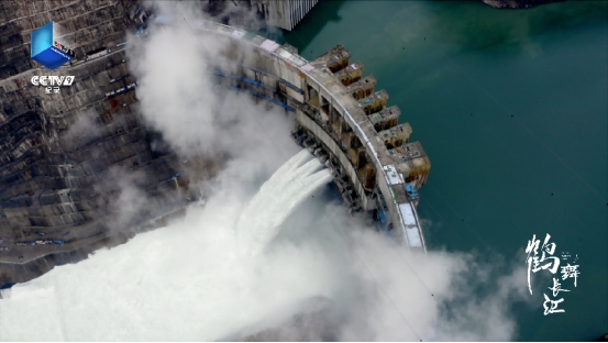 国庆看新片！记载片《鹤舞长江》即将开播