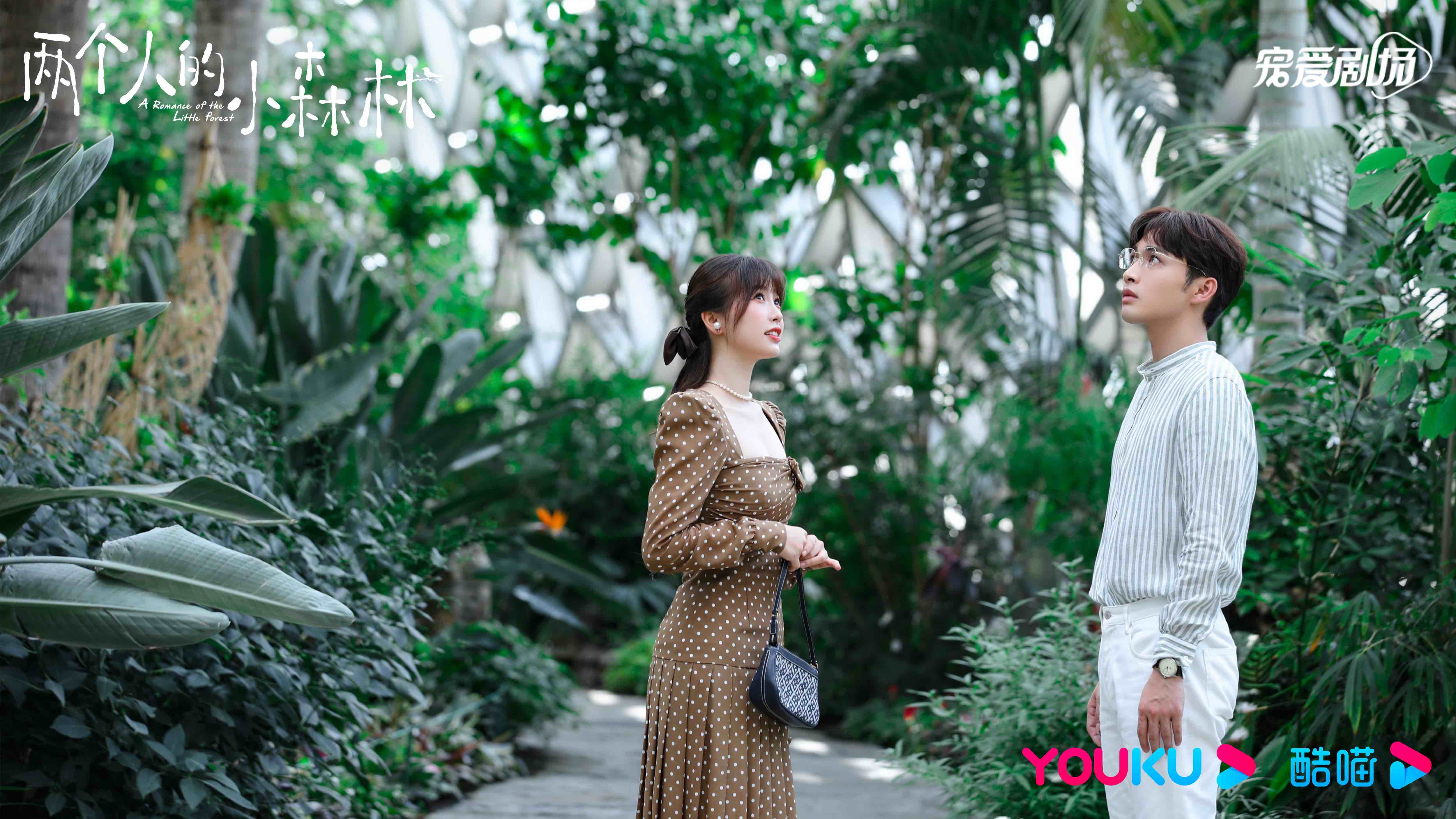 p2881194394.jpg p2881194394.jpg