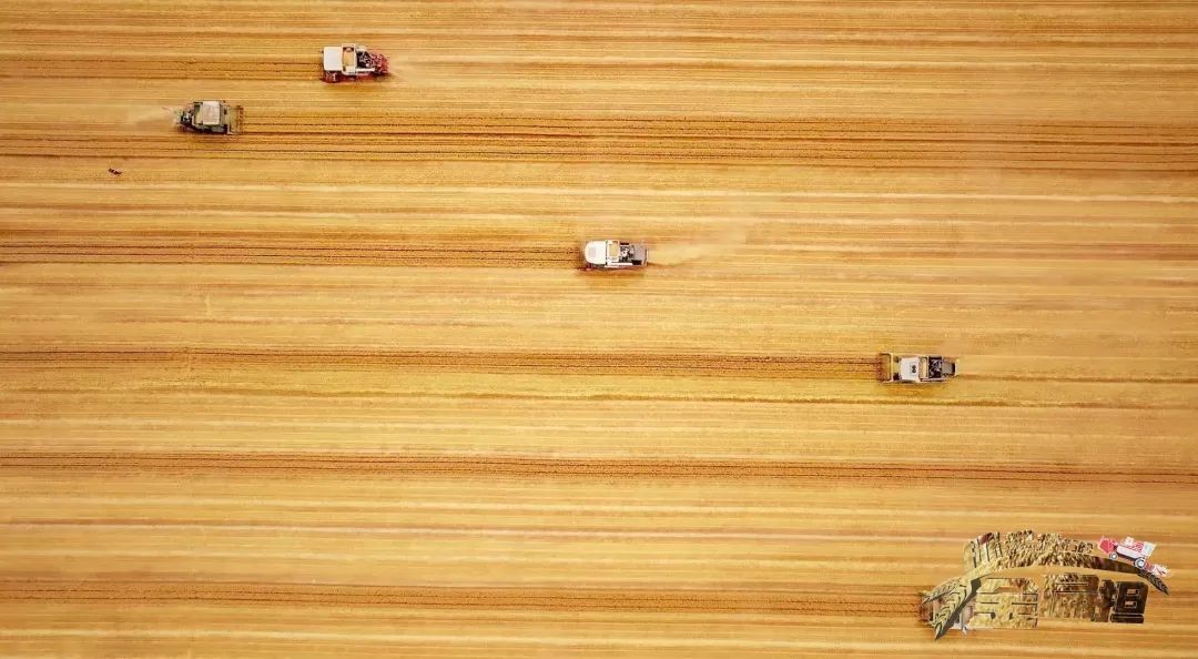 《挑起我们的金扁担》:迈向科技强农振兴路