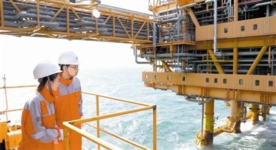 记载片《津·海岸》继承热播