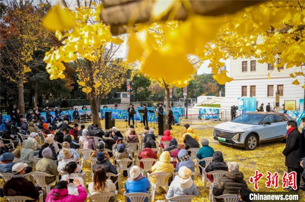 申城“银杏音乐会”如粗略上演