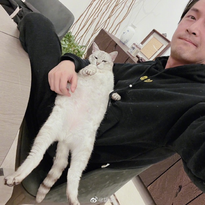 胡歌发文告别《县委大院》：谢谢大家的陪伴与支持