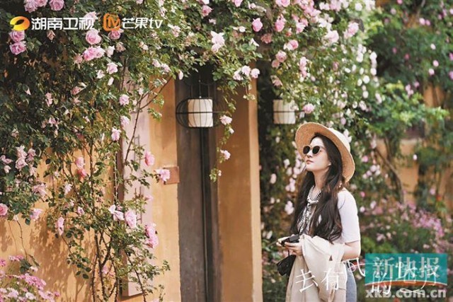 《去有风的地方》开播 刘亦菲李现踏上追寻自我之旅