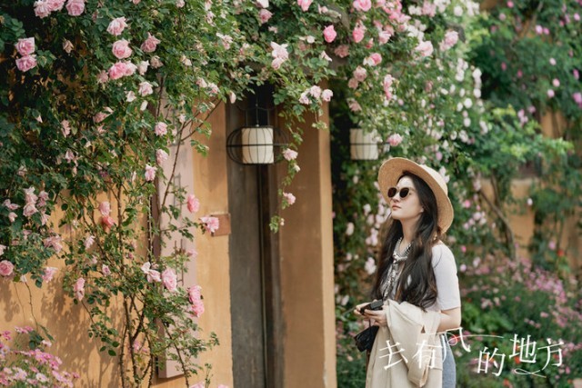 《去有风的地方》温暖热播质感获赞 多元群像抚愈人心