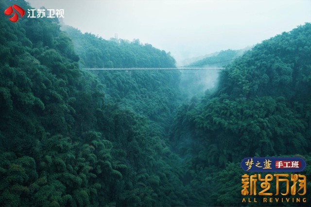 单霁翔乘直升机领略十万竹海之美 《新生万物》走进瓷胎竹编发源地