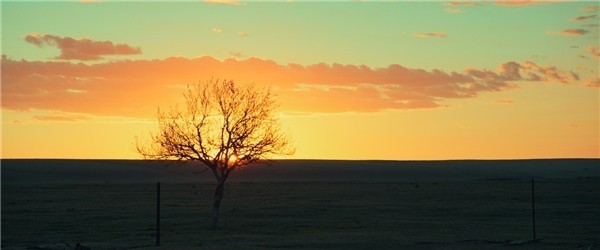 先容口碑佳作《脐带》的N个情由