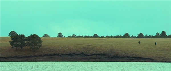 先容口碑佳作《脐带》的N个情由