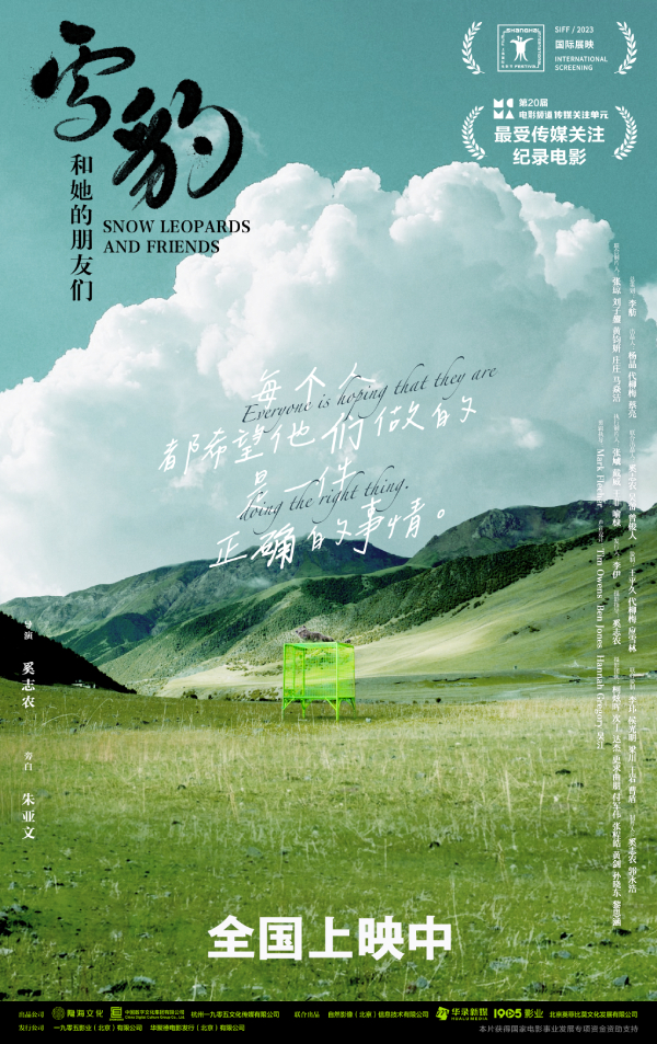 看哭了!《雪豹和她的朋友们》剧组救助老雪豹催泪感人