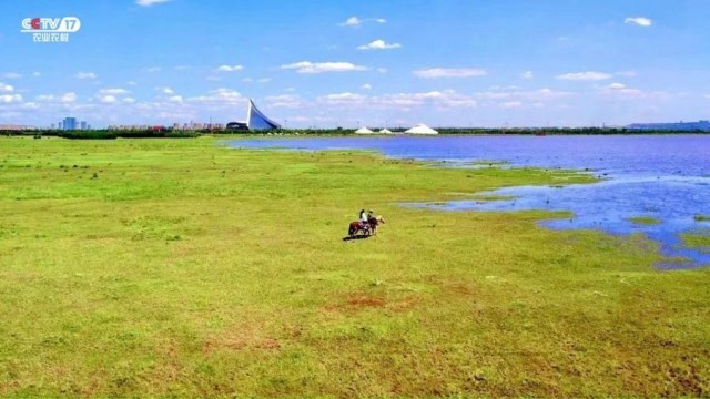 微信图片_202308291226422_副本