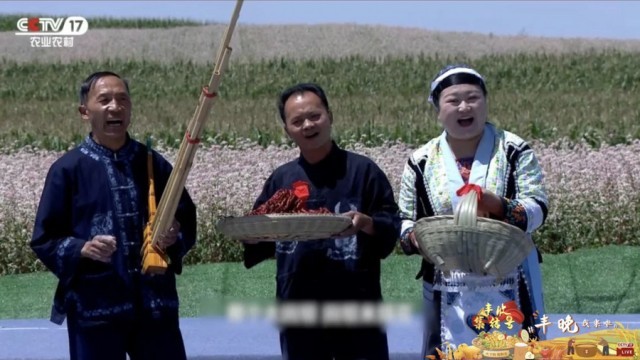 丰晚我来啦！《丰收集结号》探秘你不知道的“非遗”武艺