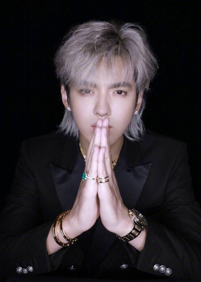 娱乐圈最火发型!鹿晗吴亦凡蔡徐坤千玺等都挑战过鲻鱼头