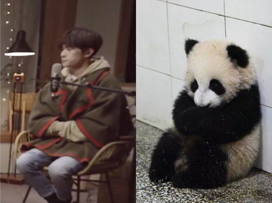 易烊千玺东北大爷式揣手画面感十足显反差萌