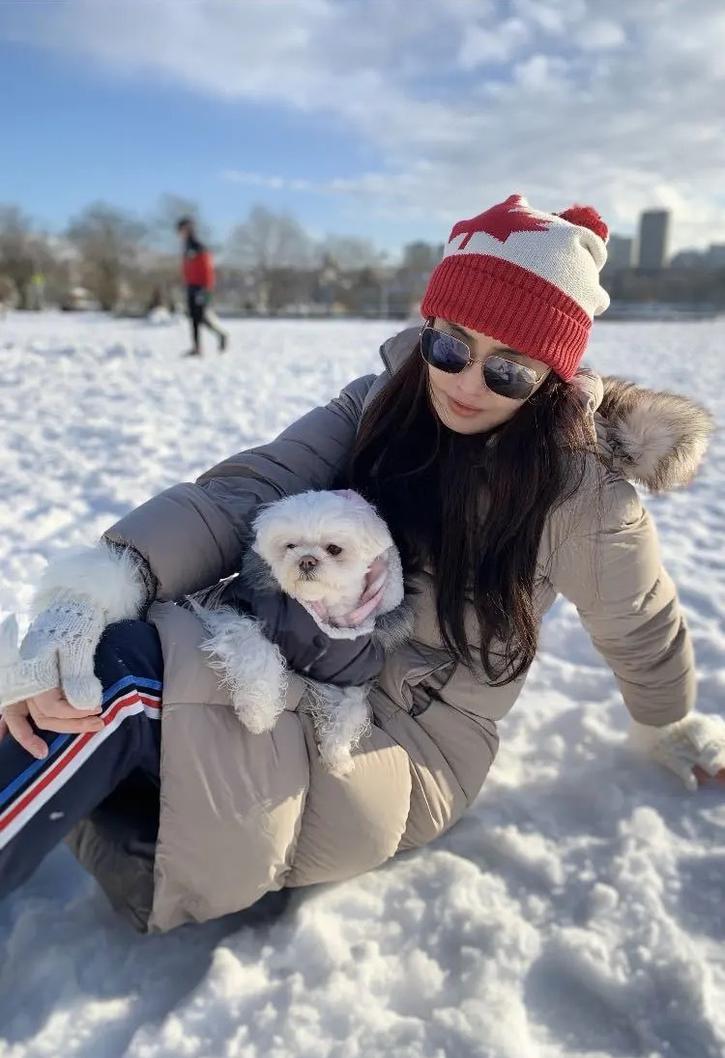 王祖贤晒与爱犬雪地合影头发乌黑秀丽女神美貌依旧 娱乐频道 中国青年网