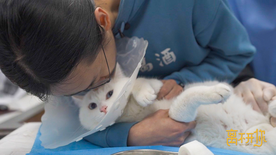 3.猫咪哇塞.jpg