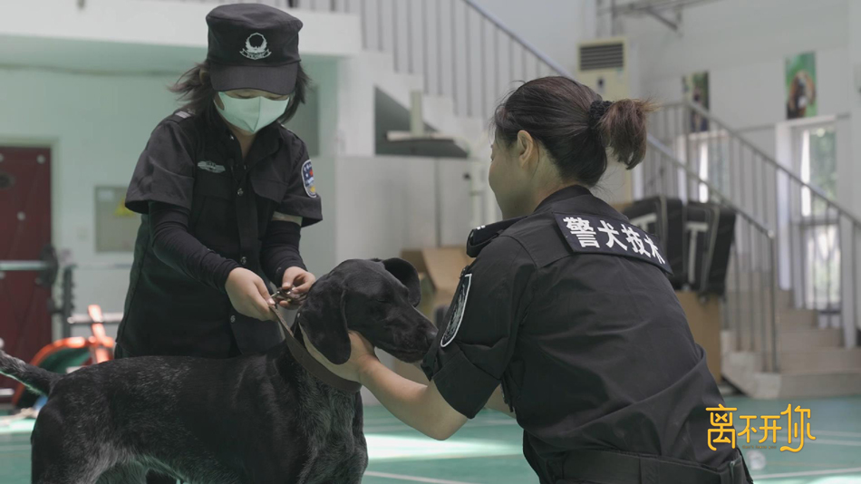 5.希希和警犬.jpg