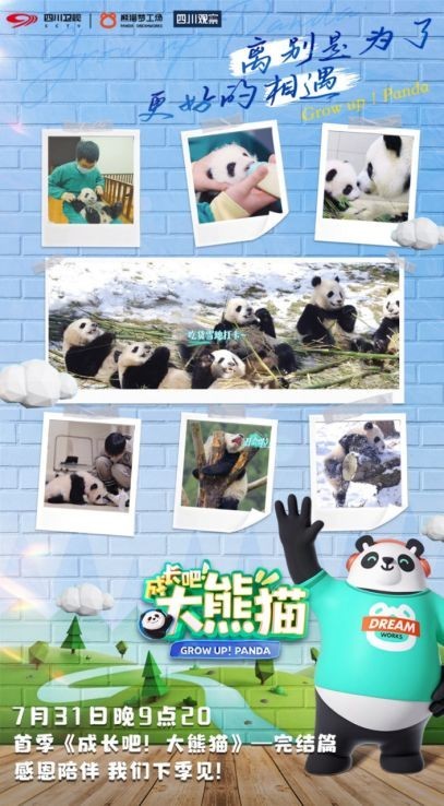 圆满收官！这部陪伴大熊猫的综艺，你追全了吗？
