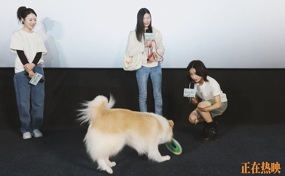 微信截图_20250324082338.png