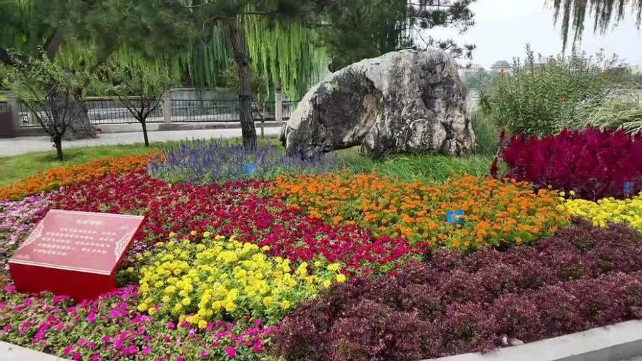 2f87e923c2c90c93b7d584e700c196a2